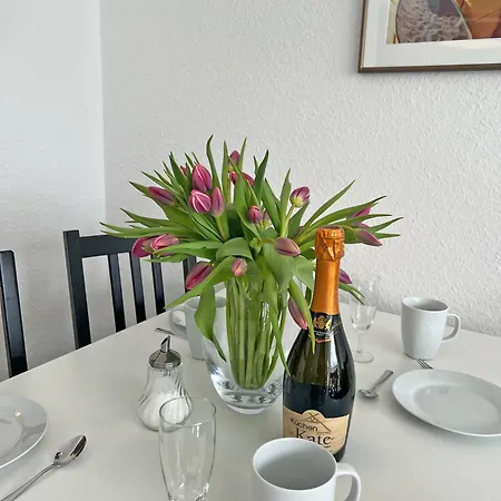 Wiking App 19 Apartment Groemitz